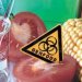 ГМО: без вариантов?