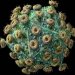 Новые подробности о наночастицах, нацеленных на  ВИЧ
