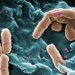 Микробов убивает информационный голод