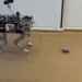 Роботов научили помогать друг другу