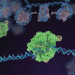 CRISPR для чайников, или Краткая справка по быстрому редактированию ДНК