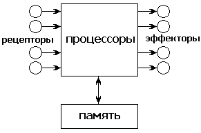 На схеме показаны основные элементы биокомпьютера. 