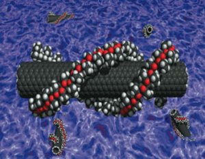 Нанотехнологии помогут опреснить воду. Углеродная нанотрубка.