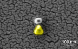 Изображение палладиевой наночастицы с золотой наноантенной, полученное методом сканирующей туннельной микроскопии.