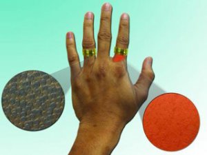 Идея нового продукта проста: безымянный палец защищён кремом с наночастицами, указательный оставлен в качестве контрольного.