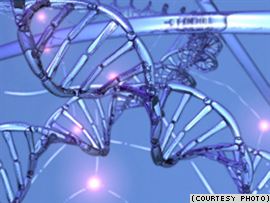 Насколько много говорит ДНК о наших предках