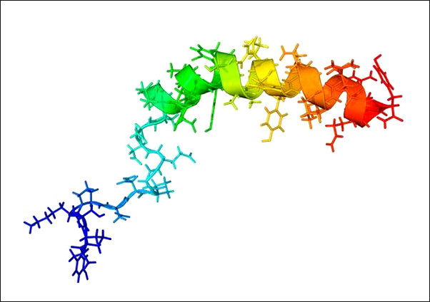 c0033297-neuropeptide_y_neurotransmitter_molecule-spl.jpg