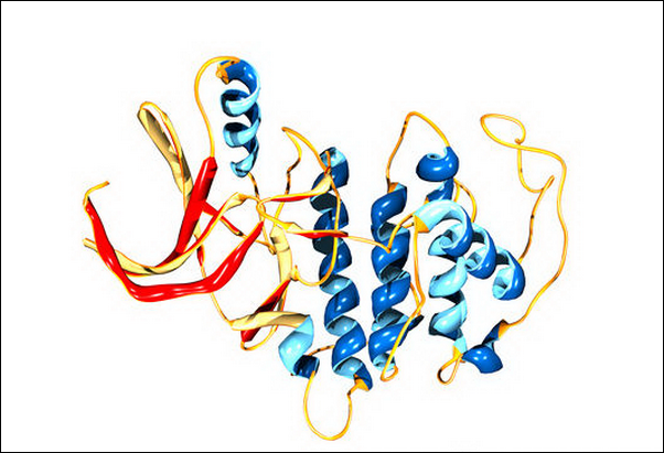 a6050214-cyclin-depenent_kinase_5_molecule-spl.png