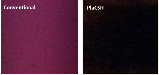 placsh-0.png