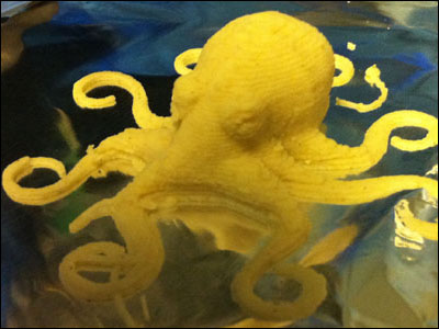 cnews-octopus.jpg