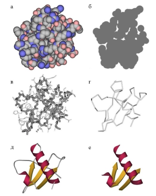 habrahabr-protein-8.jpg