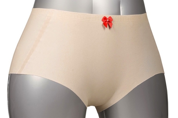 gizmonews-tamicare-3d-printed-underwear.jpg