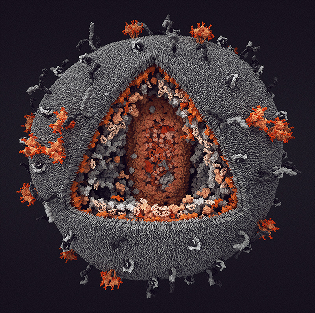 aif-aids-virus.jpg