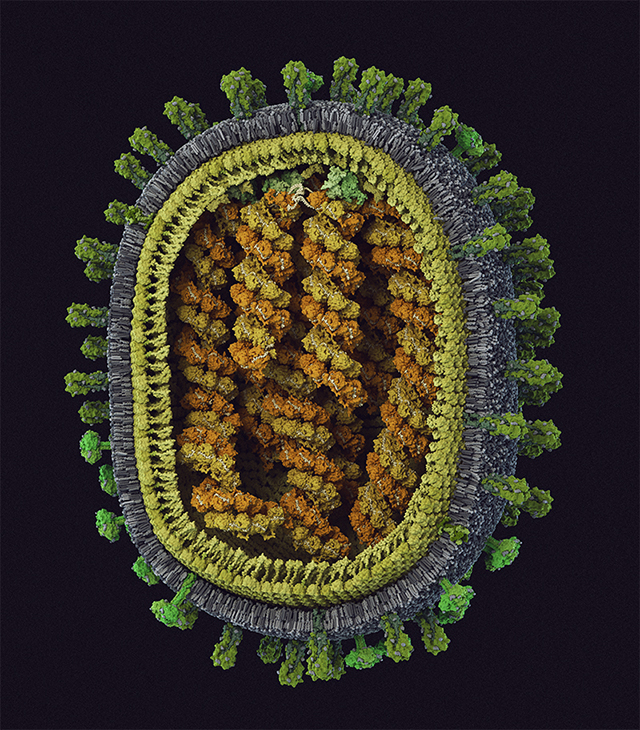 aif-flue-virus.jpg