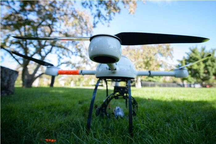 gizmonews-bird-drone.jpg
