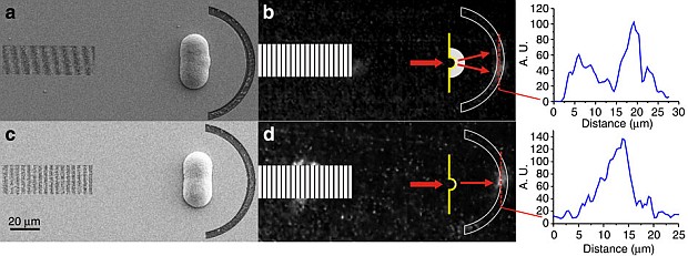 nplus1-metamaterial-lense-3.jpg