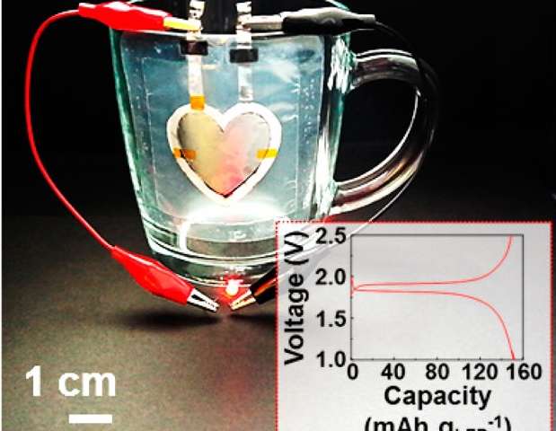 gizmonews-3dprinted-batteries.jpg