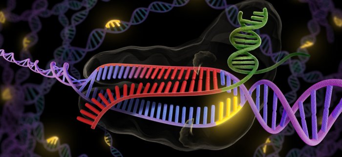 hinews-crispr.jpg