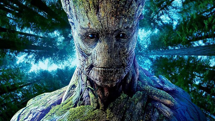 10548175_10152718210358313_2538224644329534792_o-this-tree-is-so-awesome-groot-treebeard-are-jealous-jpeg-167972.jpg