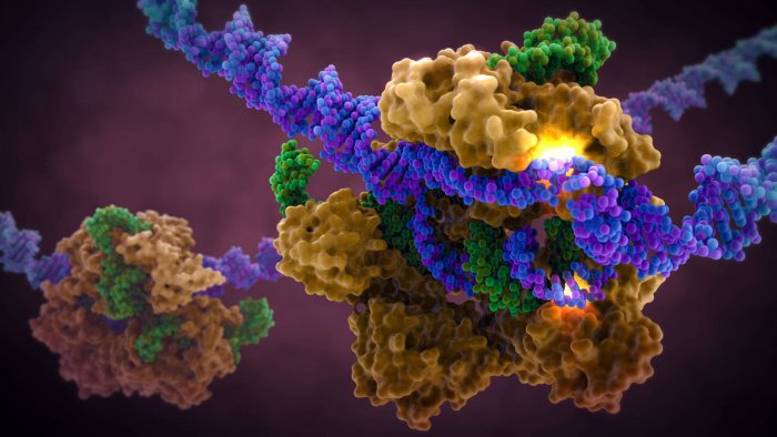 art-of-the-cell-crispr-cas9-in-complex-with-guide-rna-and-target-dna.jpg
