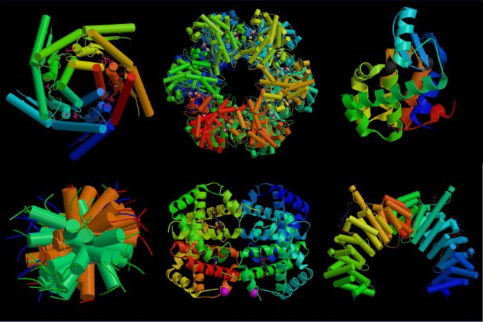 protein-art.jpg