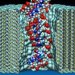 Компьютерное моделирование приближает секвенирование  ДНК   к практической медицине