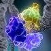 Наночастицы из «хорошего холестерина» находят и разрушают раковые опухоли 