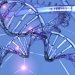 ДНК-нанотехнология. Краткий обзор