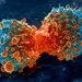 Ученые разгадали один из секретов рака легких