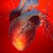 Рубцовую ткань перепрограммировали в сердечную мышцу без стволовых клеток