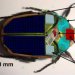 Учёные научились получать энергию от жуков-киборгов