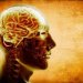 "Это не я, а мой мозг": адвокаты в США злоупотребляют нейробиологией