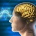 Квантовый компьютер в человеческом мозге?