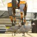 Сверхбыстрый двуногий робот ATRIAS готовится стать новым мировым рекордсменом