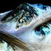 NASA огласило "самое важное научное открытие по Марсу"