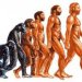 Гипотеза «Общая теория эволюции»
