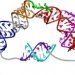 Новая 3-D модель ключевого домена РНК фермента теломеразы