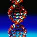 Новые подробности о новом методе ремонта ДНК