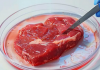 Во Флориде запретили искусственное мясо