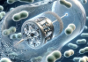 Наномоторы с ионами серебра «взрывают» бактерии, которые им попадаются