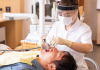 В Японии осенью начнут тестировать препарат для выращивания зубов при гиподонтии