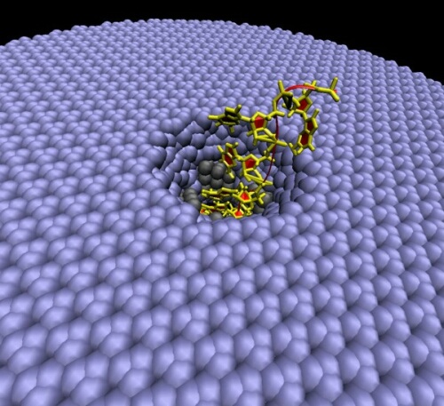 Модель ДНК, находящейся в нано-секвенаторе