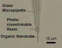 Nanopipetka.jpg