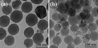 9_04_09_Algae_fuel_nanofarming.jpg
