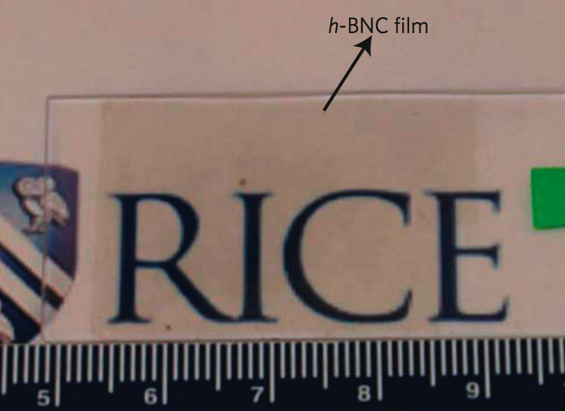 BCNwRice.jpg