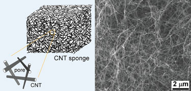 CNT-sponge-375_tcm18-167479.jpg