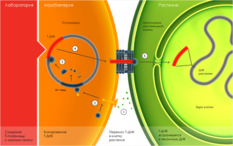 img_15_visualscience.jpg