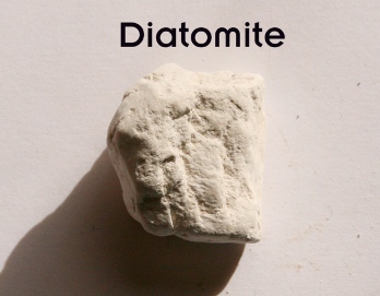 diatomite-small.jpg