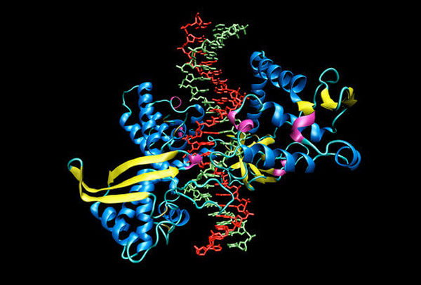 g1101010-topoisomerase_1_dna_complex-spl.jpg