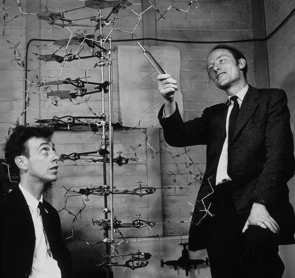 h4000039-watson_and_crick_with_their_dna_model-spl.png